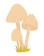 Forest mushroom in flat design. Autumn wild fungus or white toadstools. Vector illustration isolated.