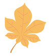 Autumn chestnut leaf in flat design. Forest orange foliage with veins. Vector illustration isolated.