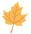 Autumn maple leaf in flat design. Forest orange leaflet, woodland foliage. Vector illustration isolated.