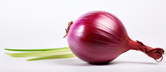 Poster - A red onion with a white background allowing for copy space image