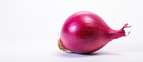Poster - A red onion with a white background allowing for copy space image