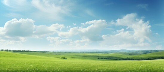 Sticker - An expanse of untouched green field in the tranquil rural countryside perfect for a captivating copy space image