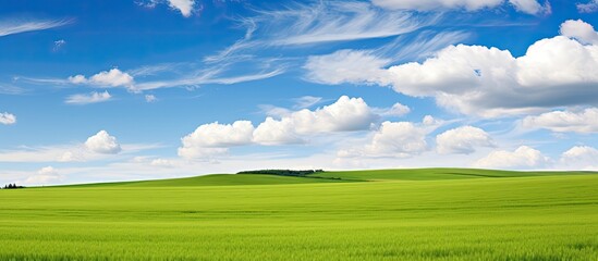 Aufkleber - An expanse of untouched green field in the tranquil rural countryside perfect for a captivating copy space image