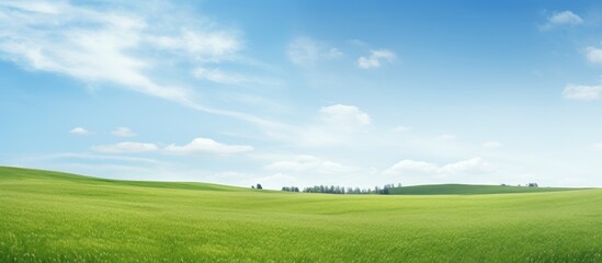 Aufkleber - An expanse of untouched green field in the tranquil rural countryside perfect for a captivating copy space image
