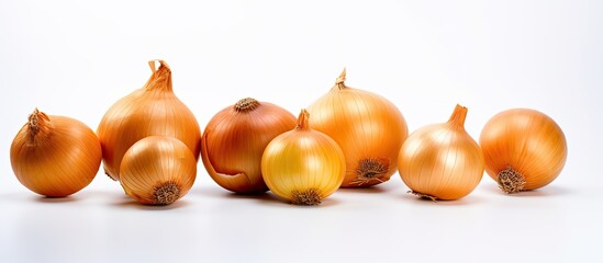 Canvas Print - An image showing onions set apart against a white background with ample space for adding text or other elements