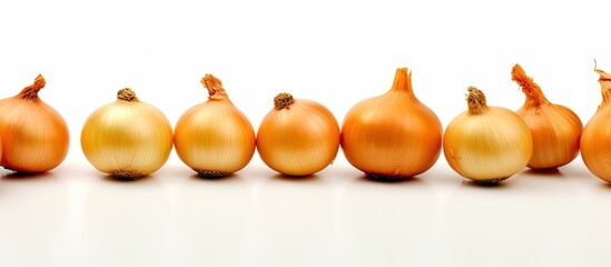 Aufkleber - An image showing onions set apart against a white background with ample space for adding text or other elements