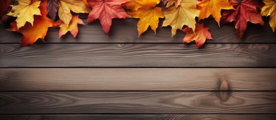 Aufkleber - Top view of a wooden background with a composition of autumn leaves and ample space for text creating a copy space image