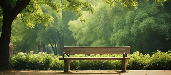 Poster - A beautiful wooden bench surrounded by greenery in a peaceful park perfect for relaxing and enjoying the serene atmosphere Short sentence for copy space image Serene park bench