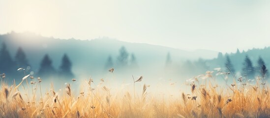 Aufkleber - A blurred photo of a natural landscape capturing the beautiful and hazy essence of nature as an ideal background image with ample copy space
