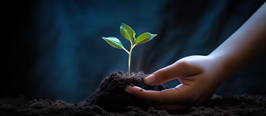 Poster - a child s hand carefully folds a seedling into a plant pot leaving plenty of open space for an image