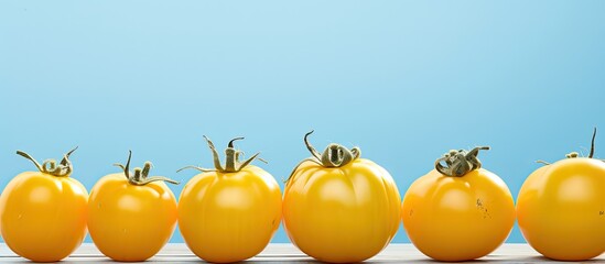Poster - Close up of ripe yellow tomatoes on a light blue wooden table with copy space image available for text