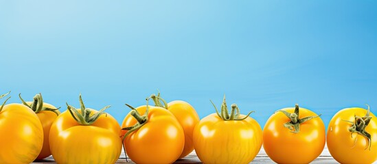 Poster - Close up of ripe yellow tomatoes on a light blue wooden table with copy space image available for text