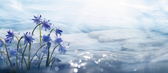 Aufkleber - Close up image of bluebells frozen in ice with plenty of empty space around them for copy. Creative banner. Copyspace image