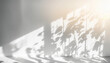 © RD02_AG - 白い壁　自然光　影　日差し　背景画像 Generative AI