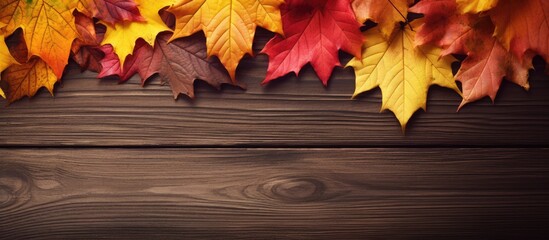 Aufkleber - A close up image of colorful autumn leaves in red and yellow hues placed on a brown wooden background with space in the center for text or other creative elements. Creative banner. Copyspace image