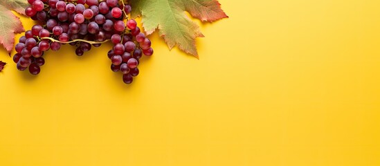 Wall Mural - Top down view of an autumn composition showcasing a frame formed by vibrant red leaves of the girlish grape complemented by green berries all set against a bright yellow backdrop Ample copy space ima
