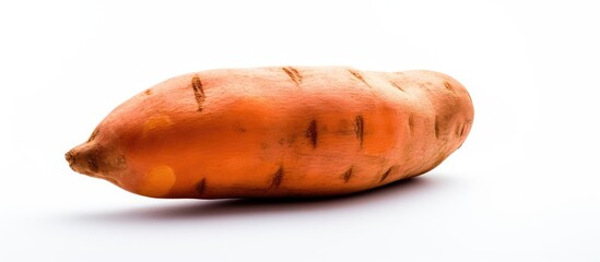 Poster - A sweet potato featured in a copy space image against a white background