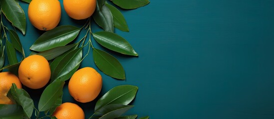 Poster - Top view of a composition featuring ripe oranges and leaves arranged on a colorful background leaving room for text in the copy space image