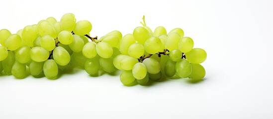 Poster - A copy space image featuring green grapes on a white background