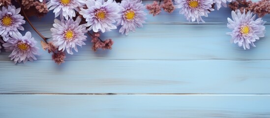 Poster - Autumn flowers beautiful asters on a light blue wooden background with copy space image Flat lay