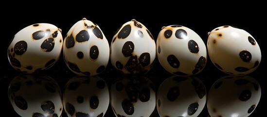 Poster - Closeup image of eight quail eggs arranged in a flower shape against a black background providing ample copy space