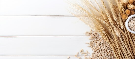 Aufkleber - The top view copy space image showcases a background of cereals including raw oatmeal and sprigs of wheat against a white wooden backdrop
