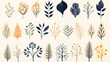 Stylized Collection of Botanical Illustrations Featuring a Variety of Plant and Leaf Designs.