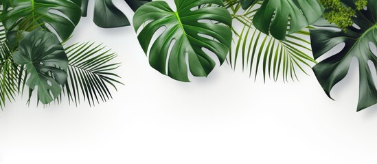 Aufkleber - A realistic and organic arrangement of tropical leaves casts natural shadows on a white textured background perfect for overlaying on product presentations backdrops and mockups Copy space image