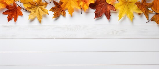 Aufkleber - A school themed background with autumn leaves on a white wooden surface perfect for showcasing fall designs in a copy space image