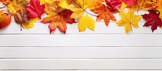 Aufkleber - A school themed background with autumn leaves on a white wooden surface perfect for showcasing fall designs in a copy space image