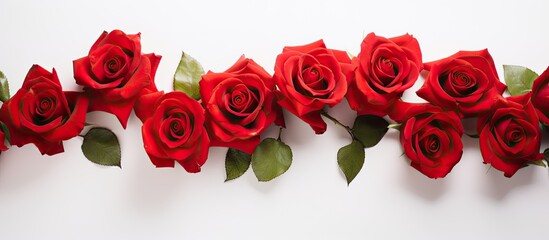 Fototapete - A stunning image featuring vibrant red roses set against a crisp white background Perfect for adding copy space to your design