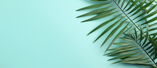 Fototapete - Top view of a summer themed flat lay with white palm leaves on a refreshing mint background The composition evokes the essence of summer offering a copy space image