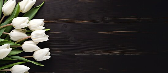 Poster - Spring themed white tulips displayed on a dark wooden background creating an eye catching and visually appealing copy space image