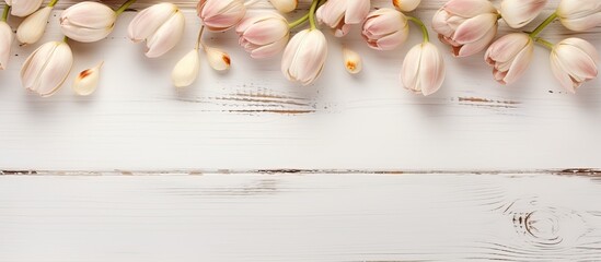 Poster - A top down view of a white wooden table adorned with tulip bulbs in autumn creates an enchanting background perfect for a copy space image