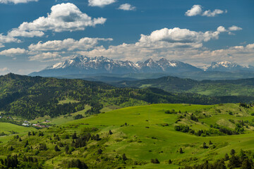 Poster - Green hills of Pieniny National Park and snowy Tatra Mountains in background in Poland