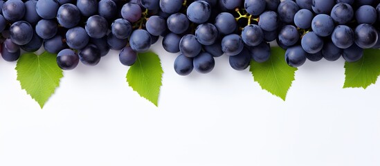 Leinwandbilder - Top view of blue grapes arranged in a flat lay pattern on a white background providing ample copy space for your text