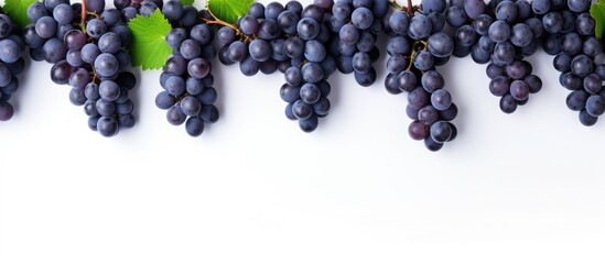 Leinwandbilder - Top view of blue grapes arranged in a flat lay pattern on a white background providing ample copy space for your text