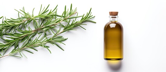 Poster - A top view of a bottle of rosemary essential oil isolated on a white background The image represents medical herbs and serves as a design concept with copy space for text