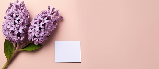 Poster - Top view of a lilac hyacinth placed on a pastel pink background alongside an empty paper tag The flat lay composition offers plenty of copy space for customizing the image