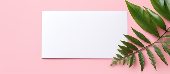 Fototapete - Top view of a trendy and minimal creative concept with a paper blank on a pastel pink background The colorful background enhances the aesthetic while the copy space provides room for additional eleme