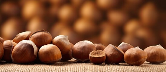 Aufkleber - A visually appealing copy space image showcasing hazelnuts and their connection to natural beauty health and nutrition
