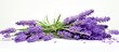 A lavender flower bouquet on a white background is displayed in craft paper creating a template for a greeting card The image provides copy space for Women s day or any other holiday