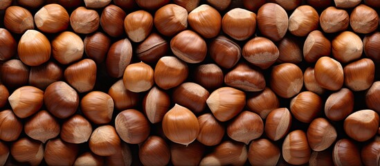 Poster - Abundance of hazelnuts with ample copy space image available