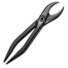 Dental forceps used for tooth extraction.