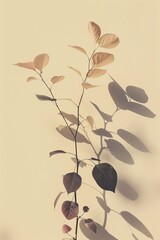 Aufkleber - A photographic composition showcases a single plant with its delicate shadows cast on a cream wall
