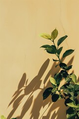 Aufkleber - High-resolution image of plant leaves with their crisp shadows against a pastel background