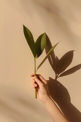 a hand holds two green leaves, casting a shadow on a beige background, symbolizing growth and enviro