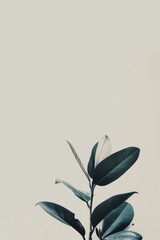Leinwandbilder - A single branch with leaves in a minimalist style against a plain, pale background, portraying simplicity and elegance
