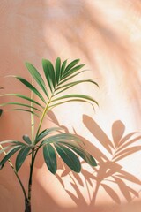 Aufkleber - A tropical palm plant casting dynamic shadows on a textured peach wall, creating an artistic display