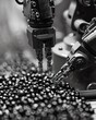 Extreme closeup of a robotic claw selecting engineered grains, front view, Grain selection robot, futuristic tone, black and white